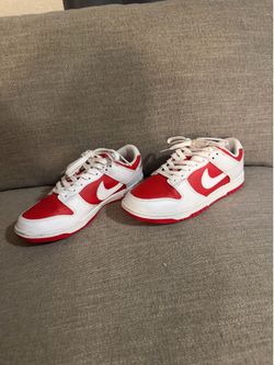 Nike dunks size 8