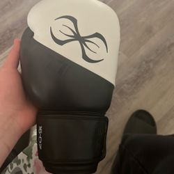Sting Boxing Gloves