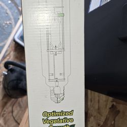 Metal Halide And High Pressure Sodium Bulbs 