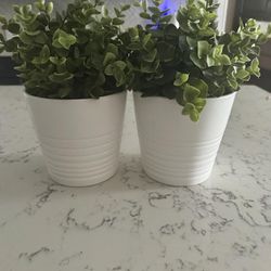 IKEA Plants and Pots