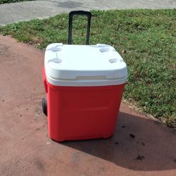 Cooler