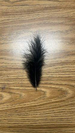 Black Feather