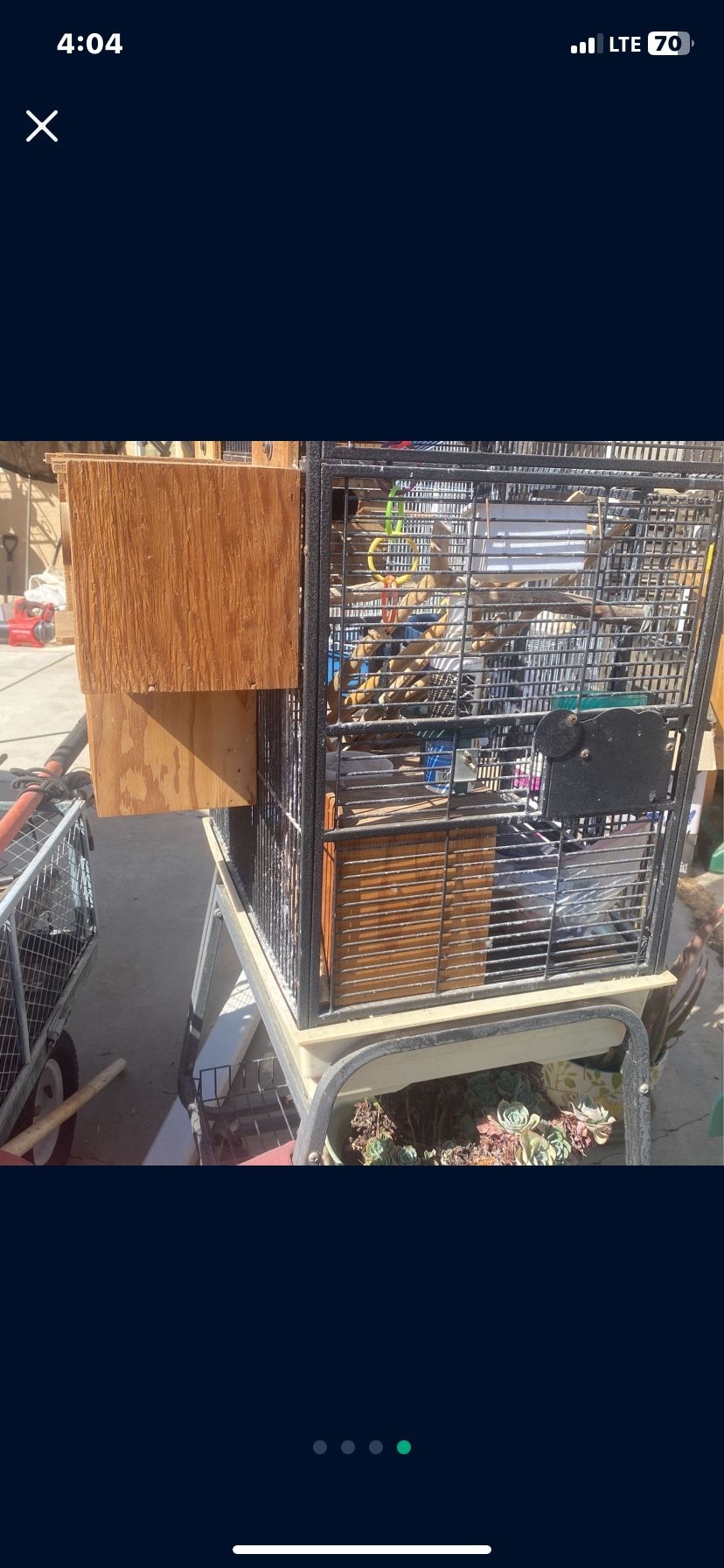 Bird Cage