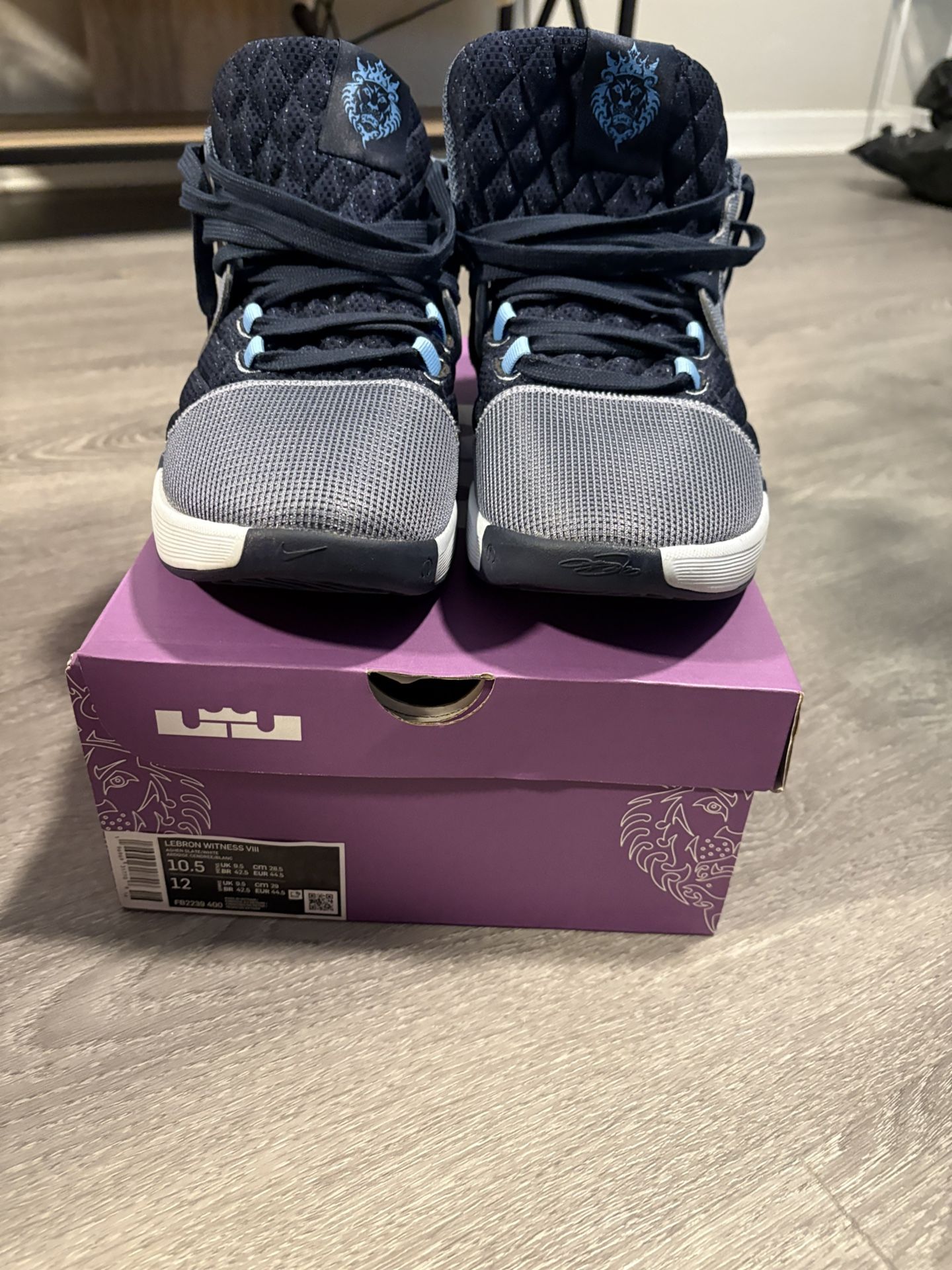 LeBron Witness VIII