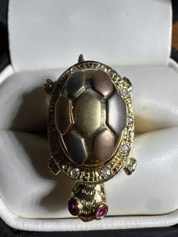 There’s a turtle inside.