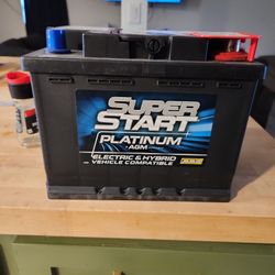 Super Start Platinum AGM Electric And Hybrid Vehicle 