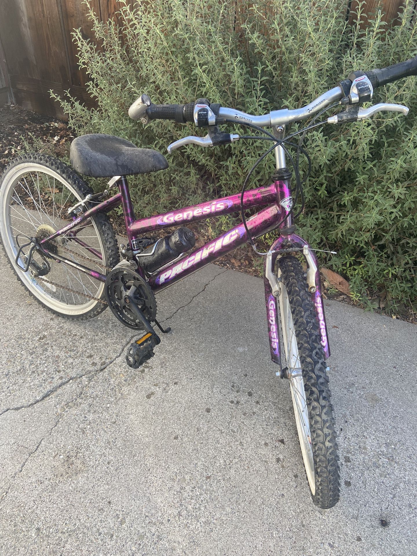 24” Girls Bicycle