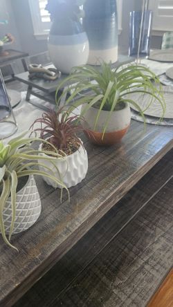 Three artificial Plants 🪴 $10 for all