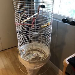 Bird Cage 