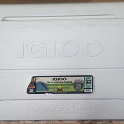 Igloo 150 Maxcold cooler