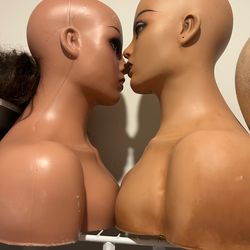 Mannequin heads with shoulder