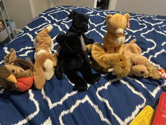 7 Beanie Babies Most Are Rare With Errors 