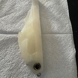 Citizen 6inch new wcz