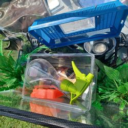 Fish Tank With All Items Included