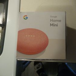 Google Home Mini Coral Color
