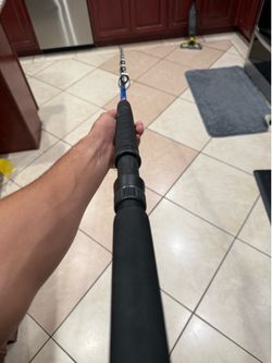 Dodger fishing rod