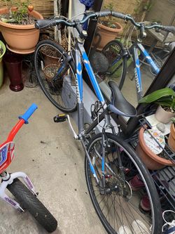 Forge and a mongoose