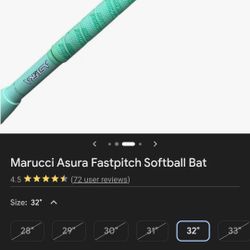 GIRLS FASTPITCH SOFTBALL BAT
