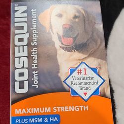 Dog Supplements 