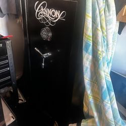 Cannon Safari 24-gun Safe