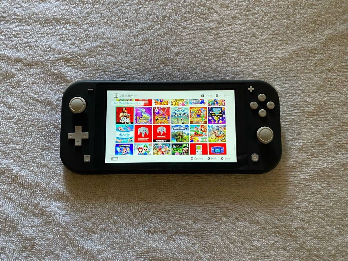 Switch Lite Loaded With 100 Popular Games