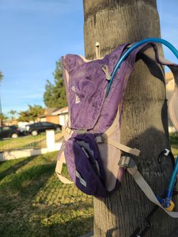 CamelBak Purple Backpack