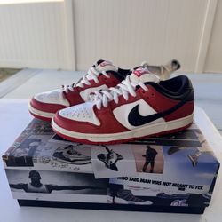Nike SB Dunks