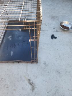 Large Dog Kennel 🐕