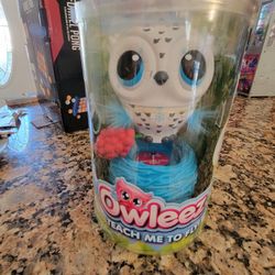 Owleez Teach Me To Fly 