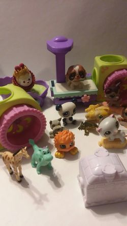 Small animals and a few smallest pet shop pets