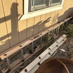 Dewalt Extension Ladder