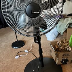 Fan
