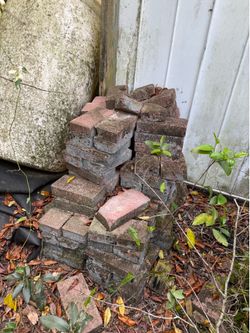 Free Pavers/Tiles