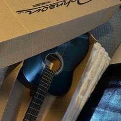 Johnson Guitar 
