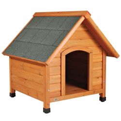 Small Dog House 
