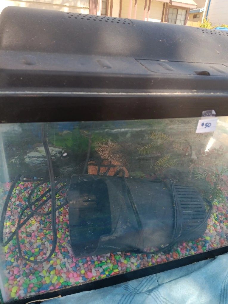 FISH TANK