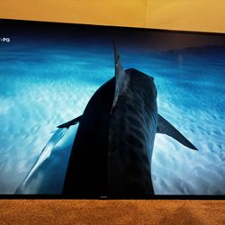 72” Phillips Flat Screen 