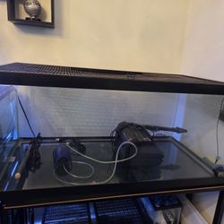 Fish Tank 40 Gallon