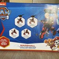 Paw Patrol Tricycle