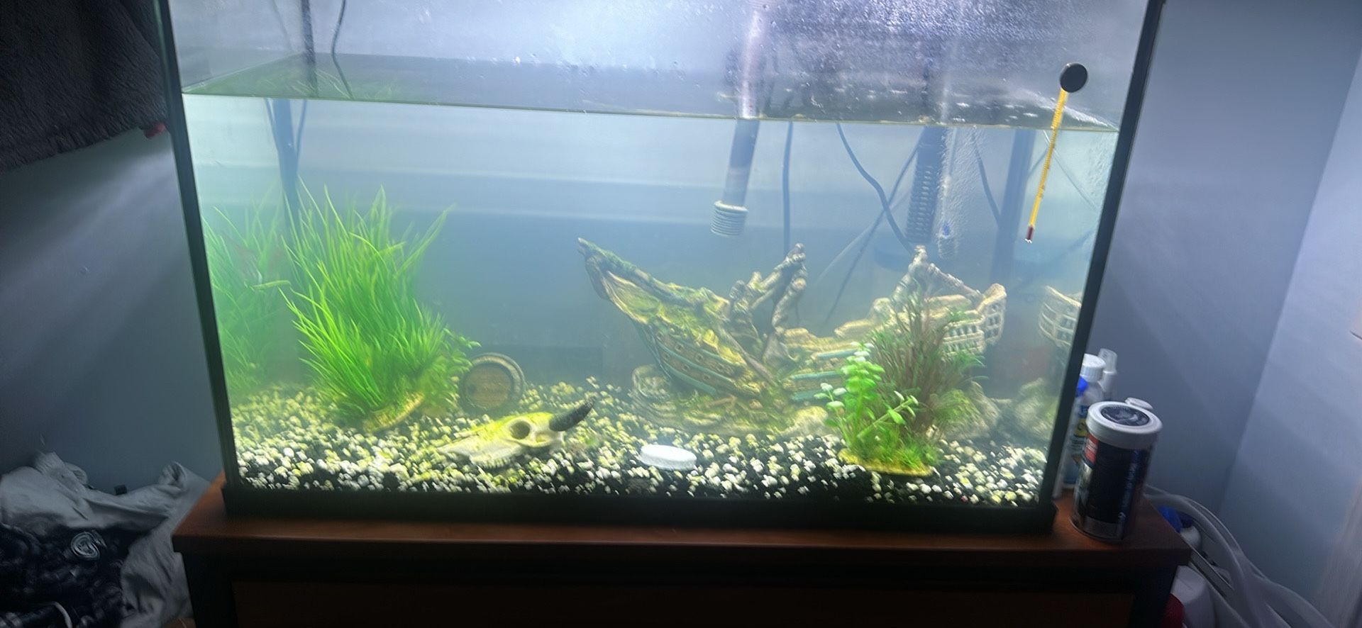 Fish Tank 29 Gallon
