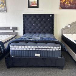 Queen Bed Frame 