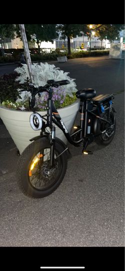 Transpro e bike