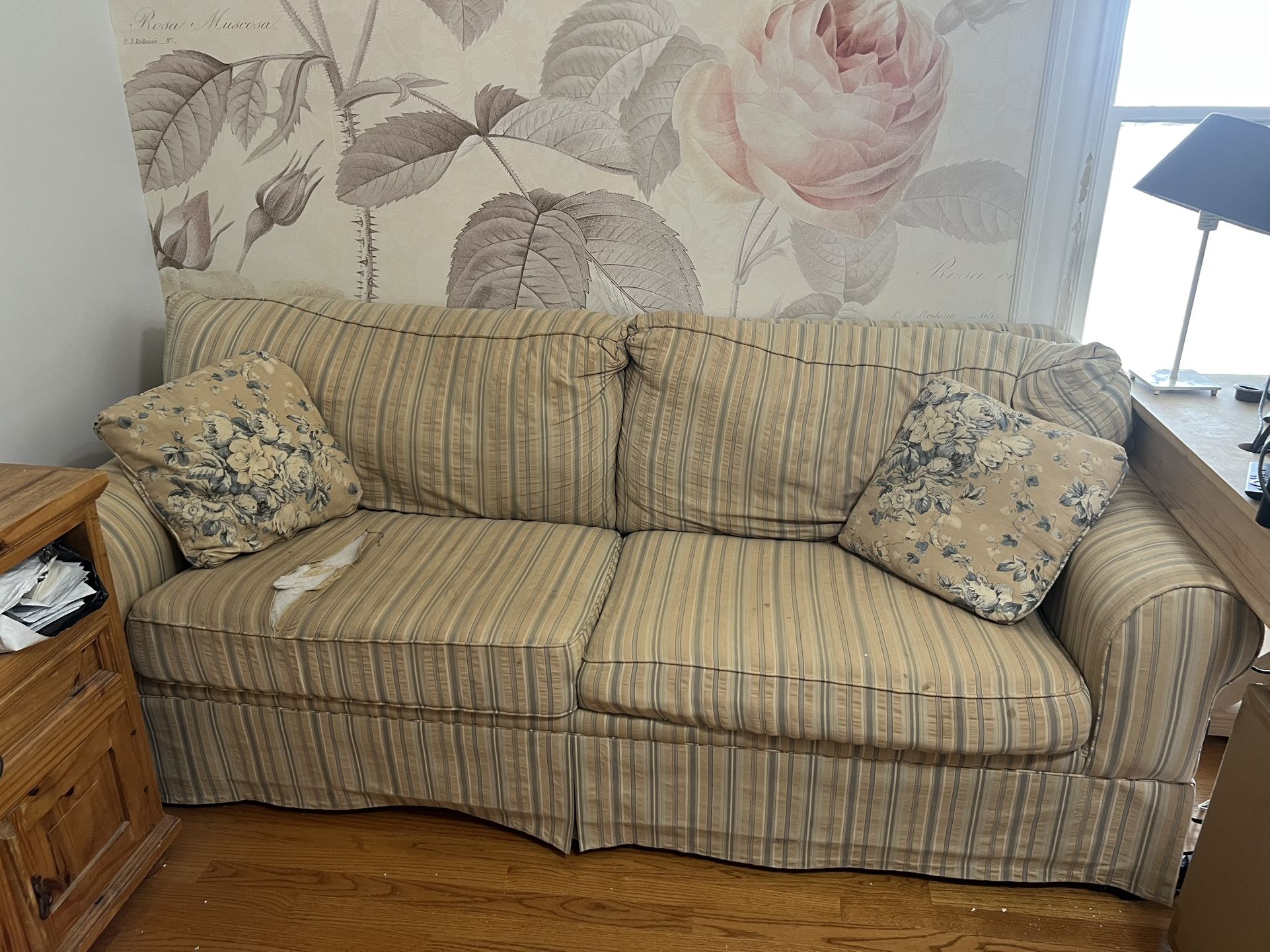 FREE Sleeper Sofa 