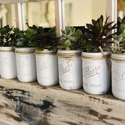 Succulent Gift Perfect For Easter