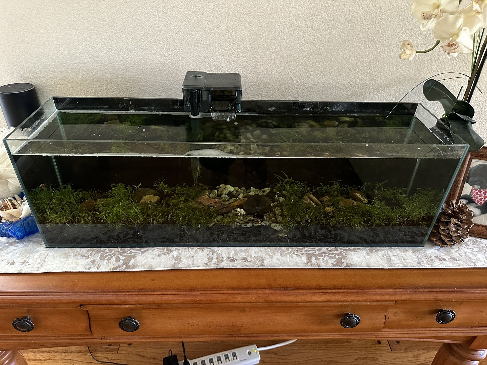 Lifegard Fish Tank Aquarium 11 Gallon Bookshelf