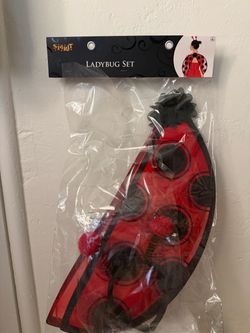 Ladybug Halloween costume