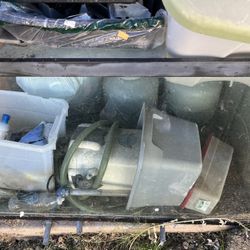 Fish Tank And Accessories For Sale 