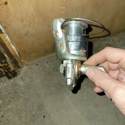 Shakespeare Excursion Real