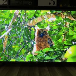 LG 42“ tv