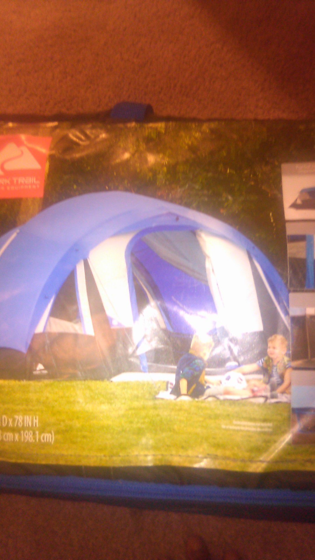 10-Person FreeStanding Tunnel Tent